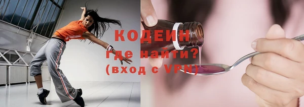 мдпв Заводоуковск