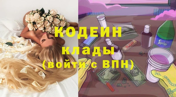мдпв Заводоуковск