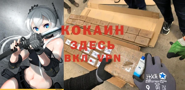 мдпв Заводоуковск