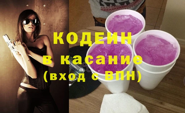 мдпв Заводоуковск