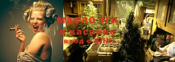 мдпв Заводоуковск