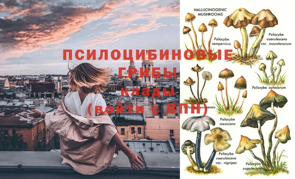 тгк Заволжье