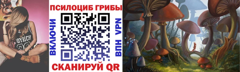 Купить закладки  Жирновск  Псилоцибиновые грибы Cubensis 
